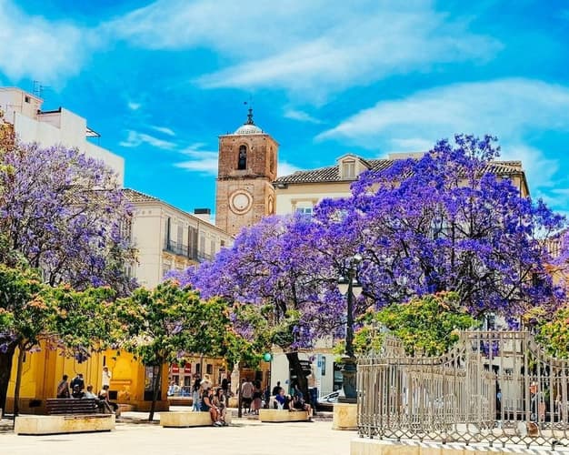 Beeld - Ervaar Andalusië: witte dorpen, natuur en strand