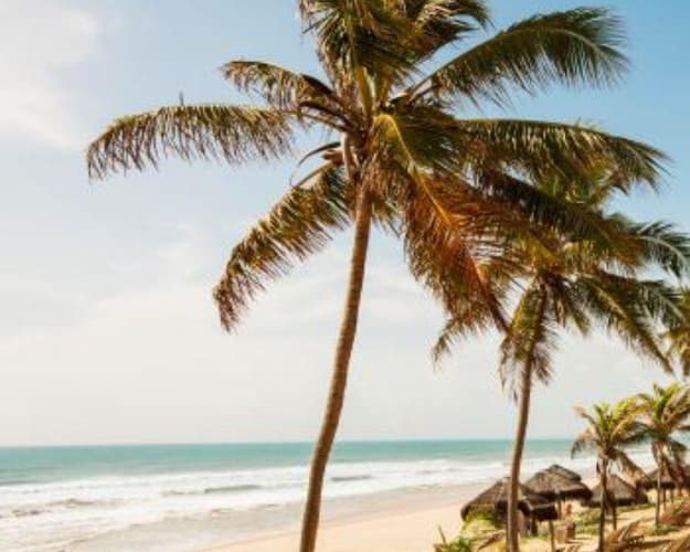Imagen - Grand Palladium Imbassai - Solo Tierra