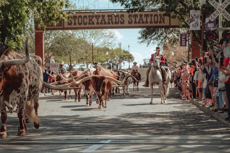 Image - Hyatt Place Fort Worth/Historic Stockyards: Discover your Wild West spirit.