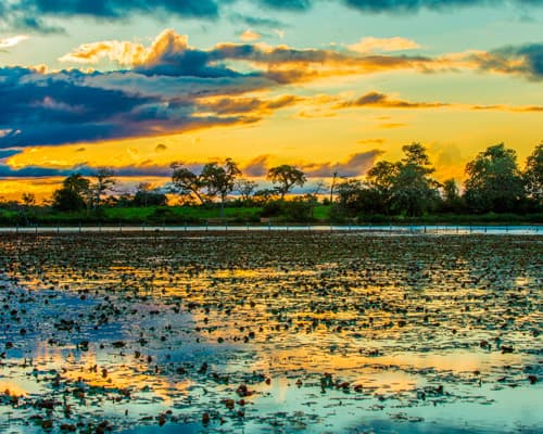 Imagem - 🌿Temporada Baja en Pantanal y Bonito