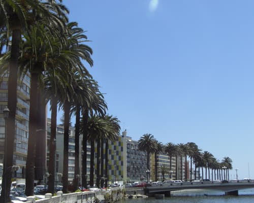 Image - Descanso en Viña del Mar
