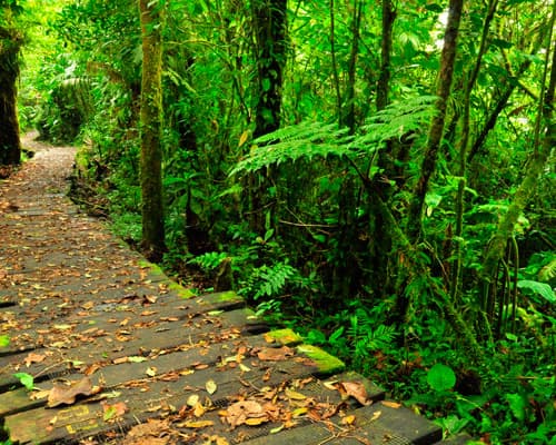 Imagen - Gran Tour de Costa Rica con Manuel Antonio – Tour Regular