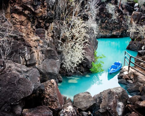 Imagen - Galápagos ideal 