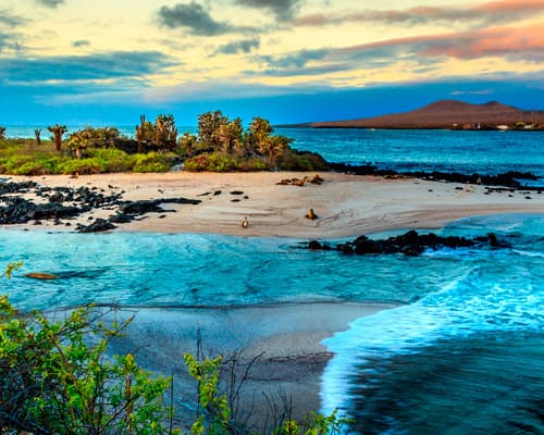 Imagen - Galápagos a tu alcance (8 días)