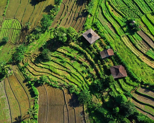 Bild - Bali & seine Inselwelten - Nusa-Inseln, Ubud, Amed & Sidemen 