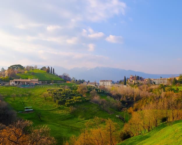 Immagine - Castello di Roncade
