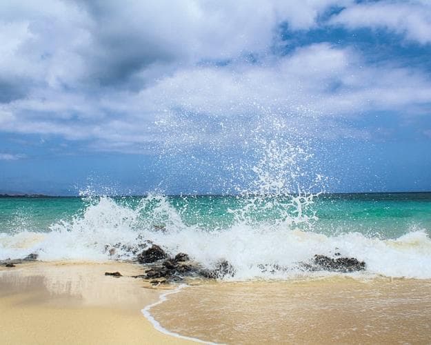 Imagen - Disfruta de Fuerteventura con TODO incluido