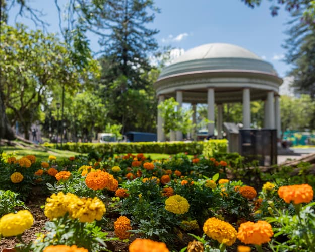 Imagen - Paquete Tortuguero & Selva Bananito Colectivo 5 Días/4 Noches desde San José/hasta Costa del Caribe Sur