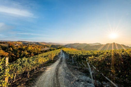 Immagine - Tour enologico delle Langhe, La Morra