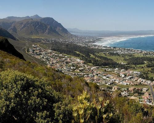 Bild - Ihre Reise nach Südafrika