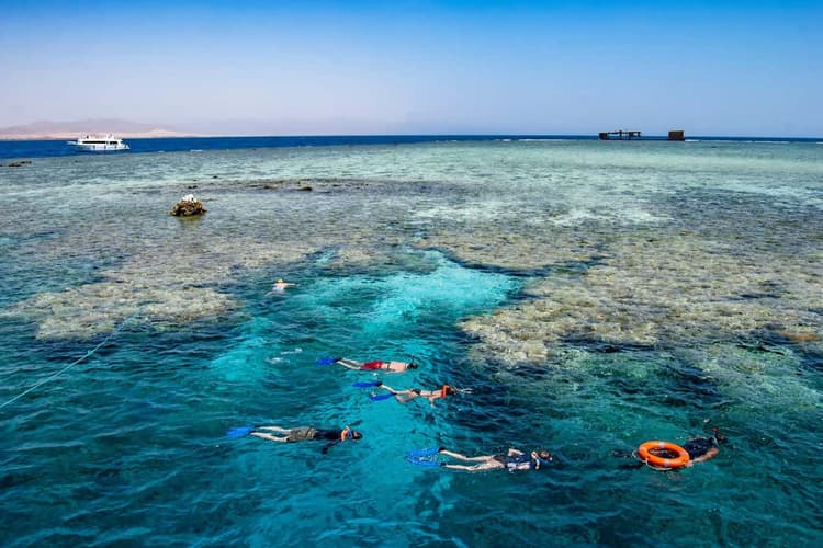 Immagine - Natale a Sharm El Sheikh da FCO