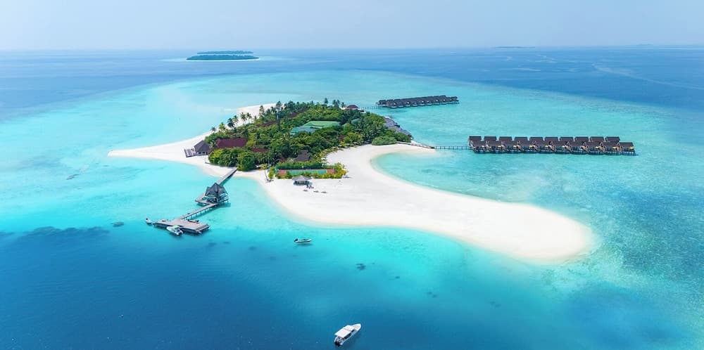 Image - 5* Dhigufaru Island Resort