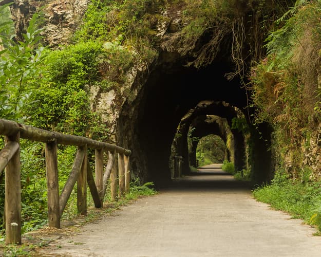 Imagen - Asturias y la Ruta del Oso