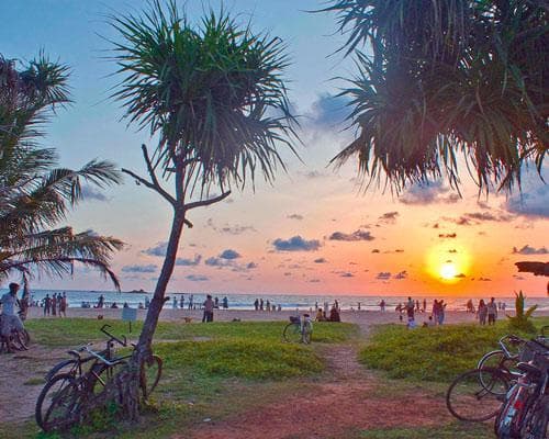 Bild -  aus Zürich mit Emirates - 3 Tage Dubai + 9 Tage Sri Lanka Baden