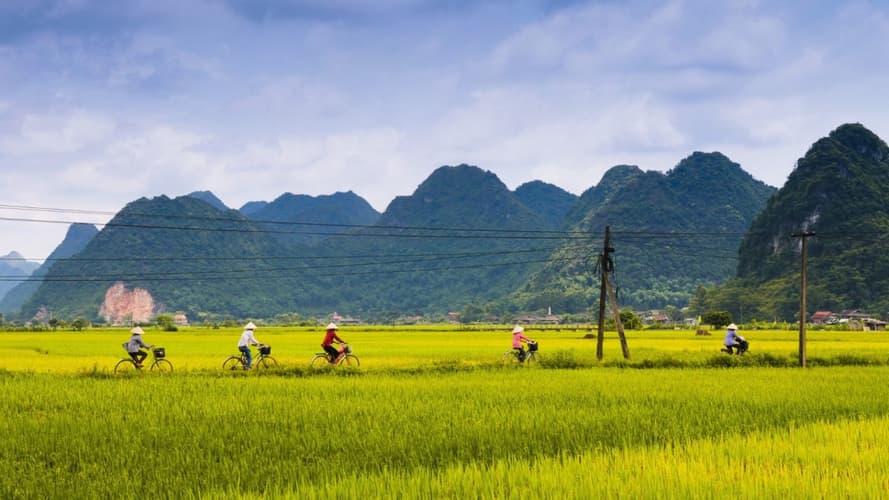 Изображение - Aktivrundreise "Entlang des Roten-Fluss-Deltas in Vietnam" & Baden in Nha Trang