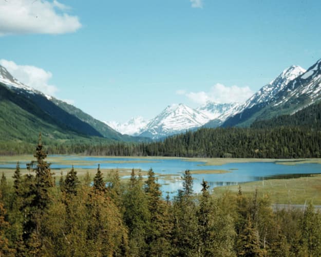 Immagine - Il richiamo del nord: viaggio in Alaska