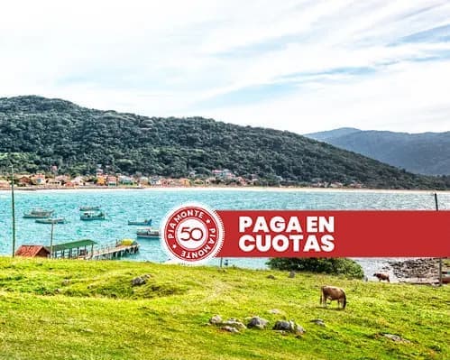 Imagen - Florianópolis 17/01 - Verano 2027
