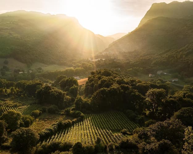 Image - Pozalagua a oscuras y Txakoli DeBringas (3 de mayo)