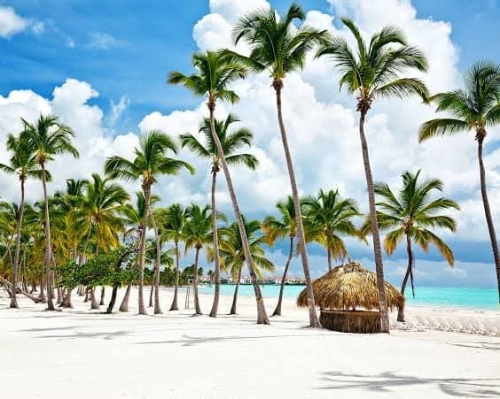 Imagen -  Punta Cana + Carry on "14 al 18ene"