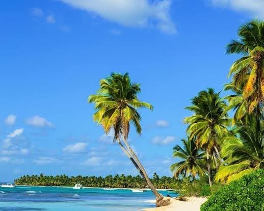 Image -  Montego Bay a tu medida + Carry on "13 al 18feb"
