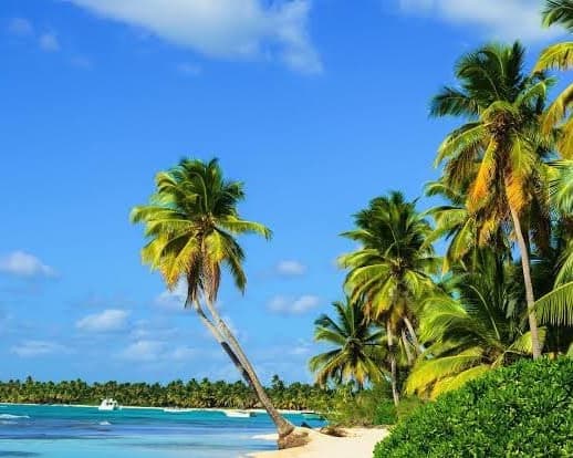 Imagen -  Montego Bay a tu medida + Carry on "05 al 10 dic"