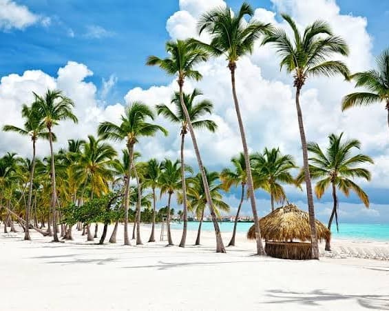 Imagen -  Punta Cana a tu medida + Carry on "03 al 07mar"