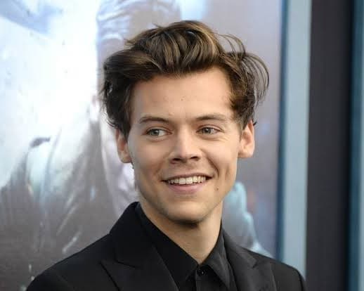 Immagine - 5 Days. MELBOURNE 5*BB - Harry Styles @28 Nov 26
