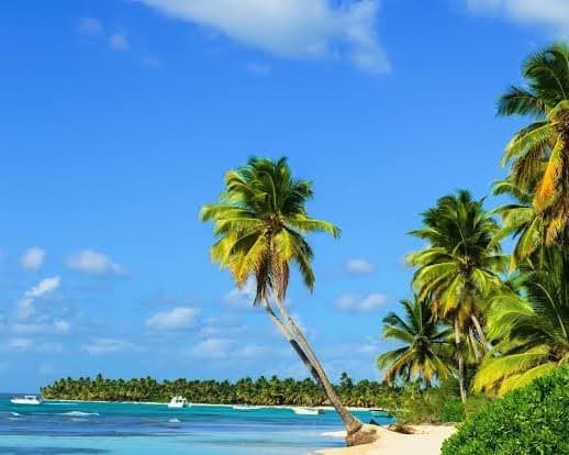 Imagen - Montego Bay + Carry on "17 al 21ene"