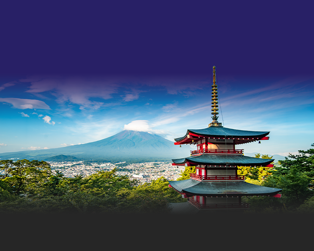 Resim - 8 Days Japan Journey: From Modern Tokyo to Historic Osaka