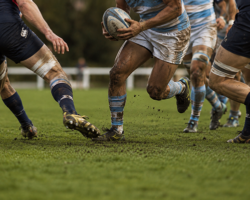 Imagen - Rugby Nations Championship Italia vs Argentina - 14 noviembre