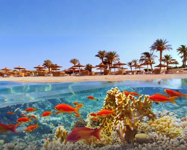 Immagine - Marsa Alam: dune, coralli e relax