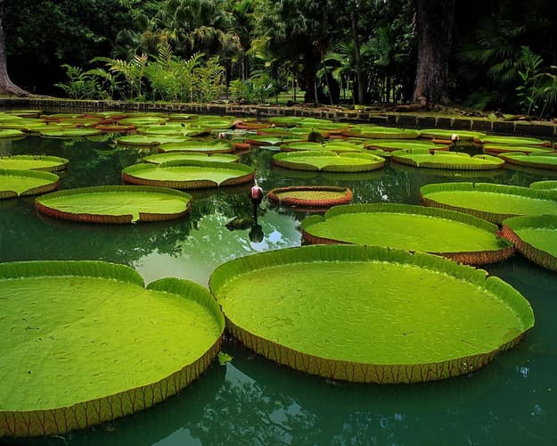 Imagen - Expedición Amazonas