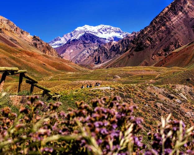 Image - COMPLETE EXPERIENCE IN MENDOZA