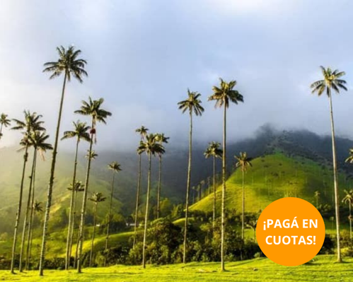 Imagen - Ruta del Café & Cartagena