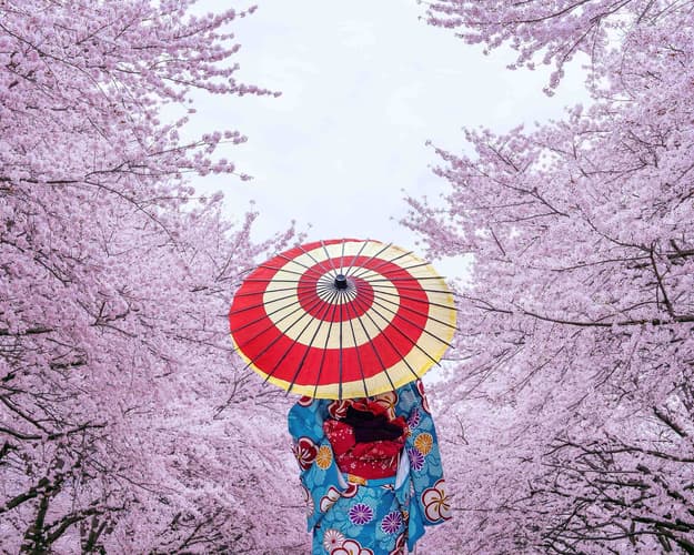Imagen - DESCUBRE JAPÓN DESDE LOS ÁNGELES 