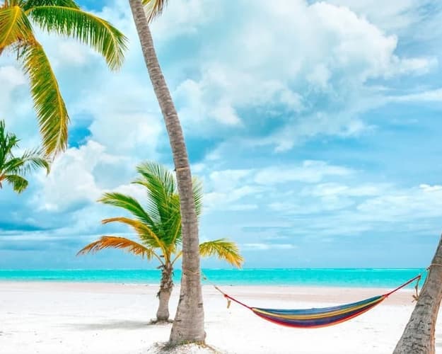 Imagen - Punta Cana a tu medida + Carry on "25 al 29mar"
