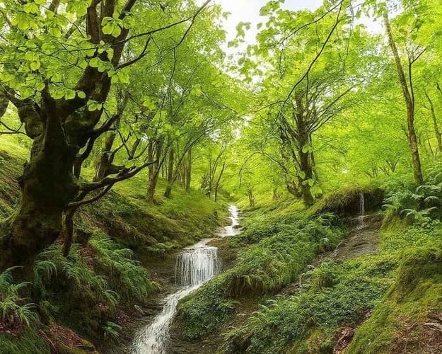 Imagen - Ruta guiada: hayedo de Balgerri (1 de mayo)