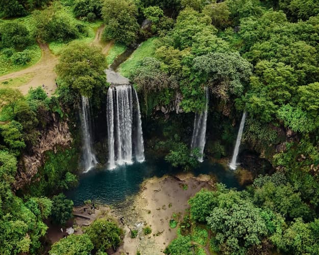 صورة -  لمحة عن صلالة