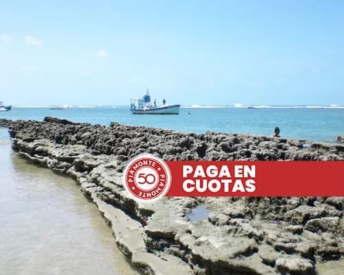 Imagen - Maragogi 21/01 - Verano 2027