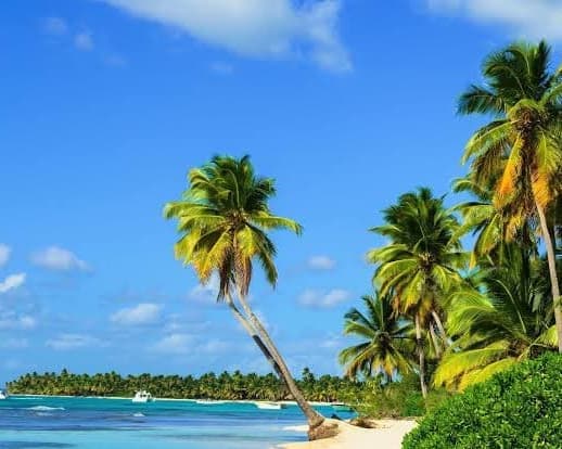 Imagen - Montego Bay + Carry on "24 al 28ene"