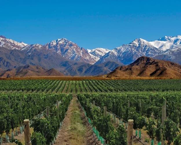 Image - MENDOZA, HOT SPRINGS AND WINERIES