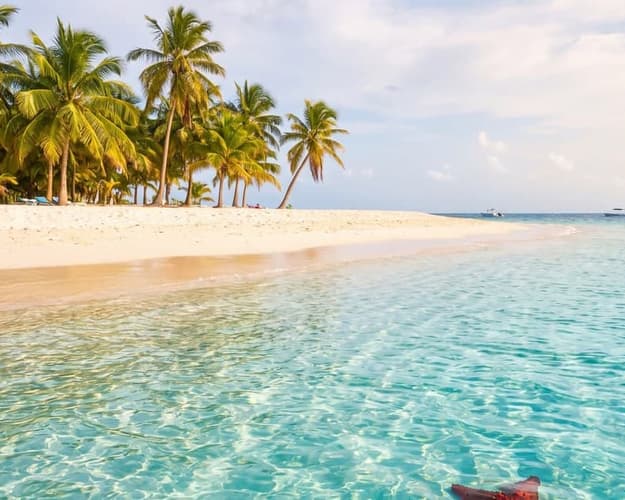 Imagen - Paraíso Dominicano 7 de mayo 2027 · Con vuelos