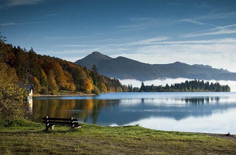 Образ -  8 Days. 3N DUSSELDORF 4* (BO) | 4N MUNICH 4* (BO)