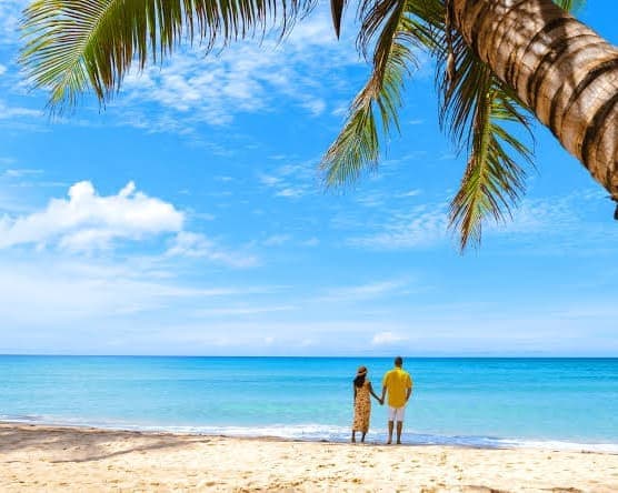 Imagen - Montego Bay a tu medida + Carry on "17 al 21ene"