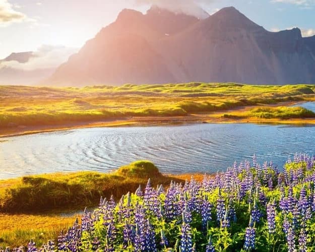 تصویر - The Ultimate Iceland Adventure: Reykjavik, Vik, Hella & Stykkishólmur
