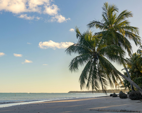 Imagen - MACEIÓ CON DESAYUNO