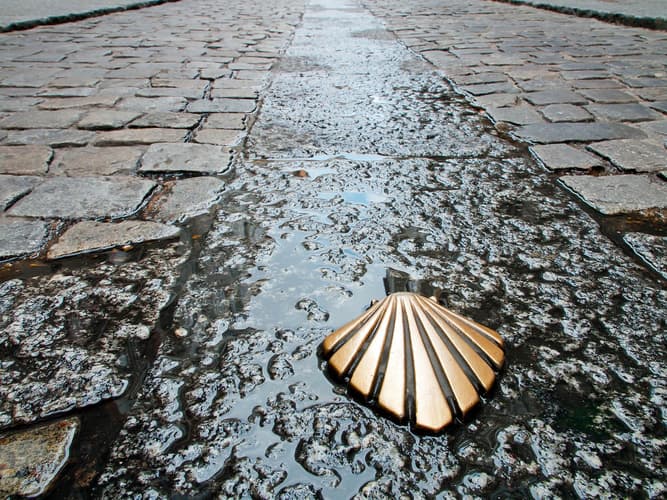 Imagen - CAMINO DE SANTIAGO: Camino Francés