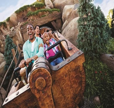 Imagen - 4 Park Magic Ticket!