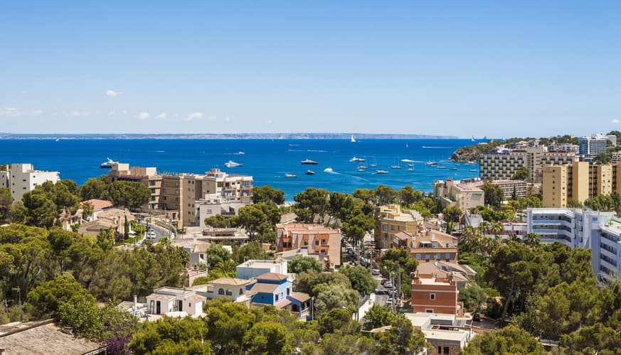 Imagem - GLOBALES MIMOSA 