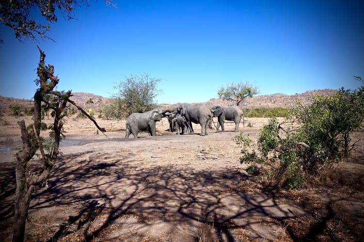 Image - Safari Sueños de Sudáfrica "Lujo" – Ciudad del Cabo + Reserva Privada